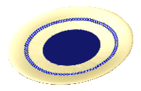 slideshow